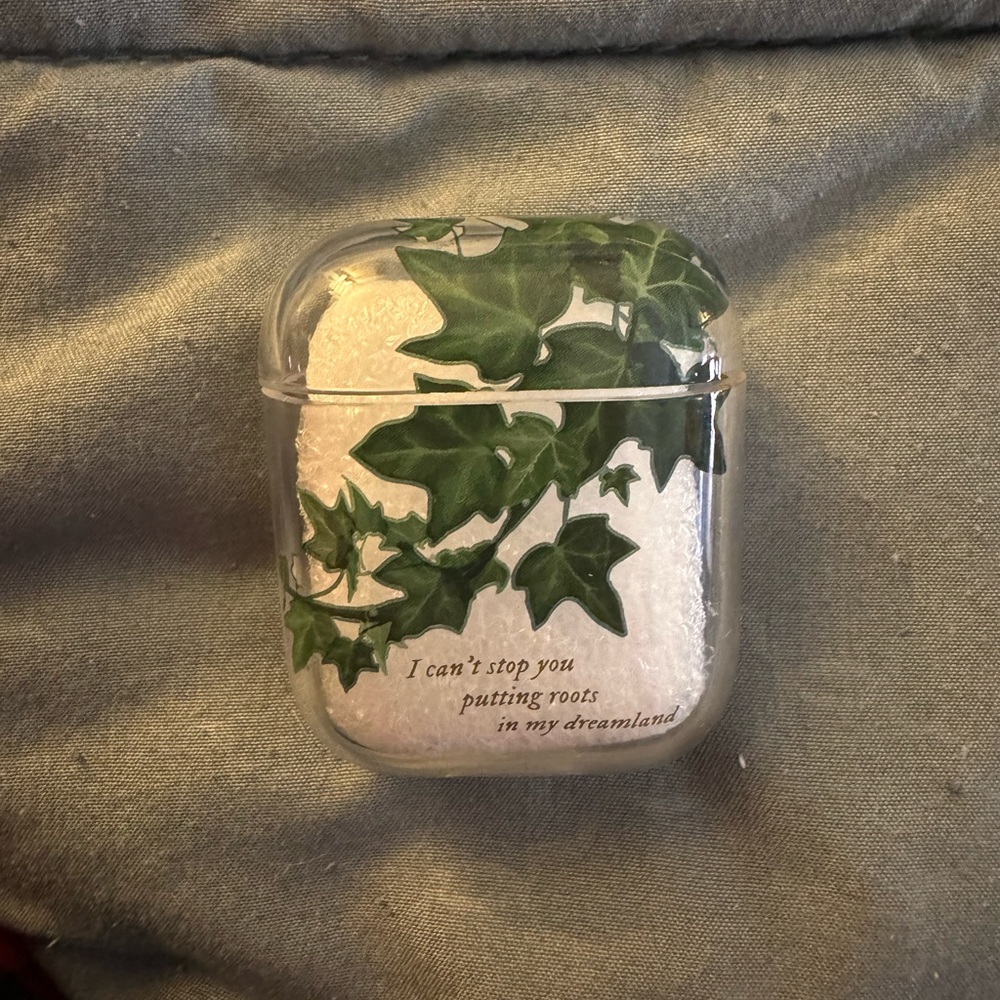 Taylor Swift AirPod Case
